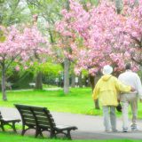 老老介護・認認介護とは？超高齢化社会の日本が抱える問題点