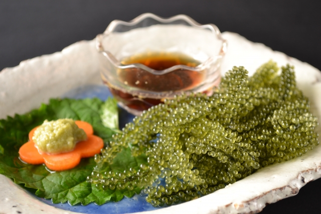 沖縄の海の味「海ぶどう」のおいしい食べ方と保存方法