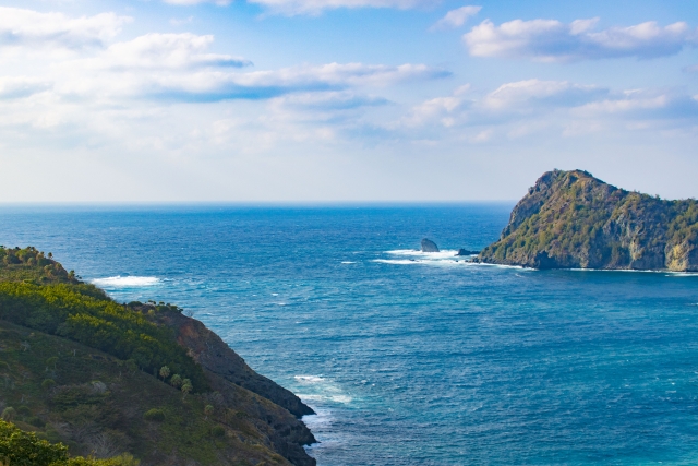 世界遺産の小笠原諸島　あなたはどれだけ知っていますか？