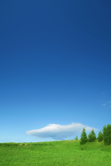 なぜ不法投棄はなくならないのか