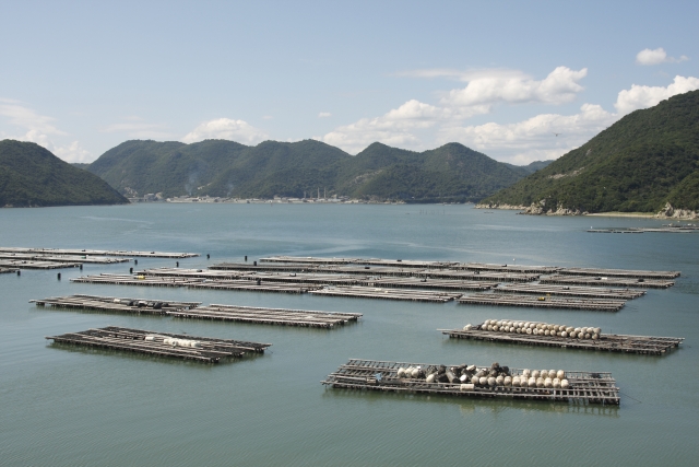 日本を影で支える「養殖漁業」を徹底解説！