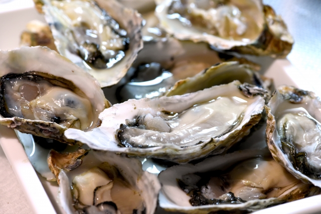 日本一の生産量を誇る広島県の牡蠣をお腹いっぱい食べる！